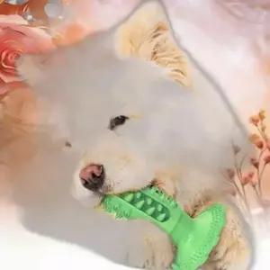 애견 삑삑이 치석제거 치카토이 강아지셀프칫솔