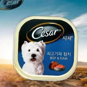 쇠고기와 통조림 시저캔 참치 강아지