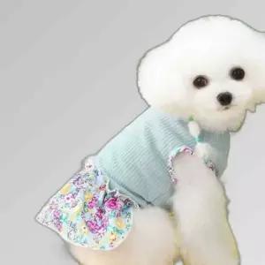 강아지 데일리 사계절 산책 원피스 패션 스타일 옷