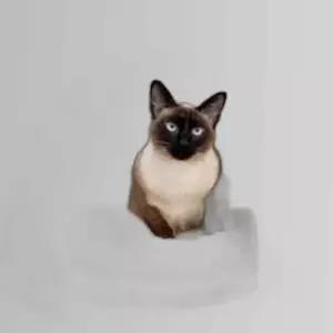 고양이 콘치 이글루 하우스 그레이 대형 휴식 1P 쿠션