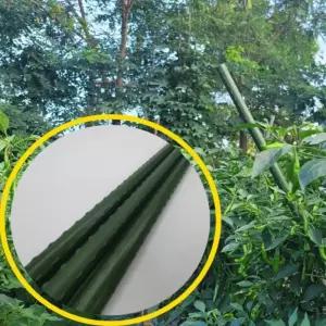 식물지지대 120cm 3P 방울토마토지 꽃지 넝쿨나무고정 화초지 고추지 고추대 지주대 방울지 몬스테라지 수