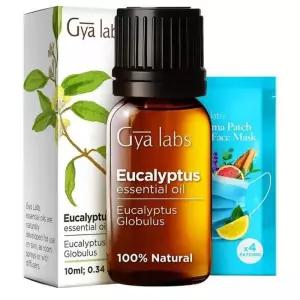 [정품] Gya Labs 에센셜오일 10ml 1팩 유칼립투스 Gya Labs Eucalyptus Essential Oil for Diffuser - Na