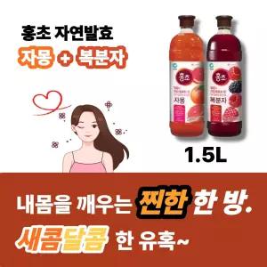 홍초 자몽 1.5L + 복분자 1.5L (총 2개))