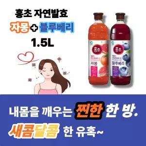 홍초 자몽 1.5L + 블루베리 1.5L (총 2개)