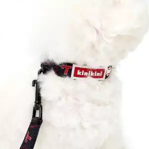 KINIKINI [키니키니XLG트윈스] AUTHENTIC COLLAR-BLACK(목줄)