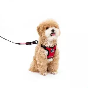 KINIKINI [키니키니XLG트윈스] AUTHENTIC SUEDE HARNESS(하네스-X형)