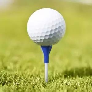 골프티꽂이 나이스샷 골프티 5개입 롱롱티 84mm 블루 티샷