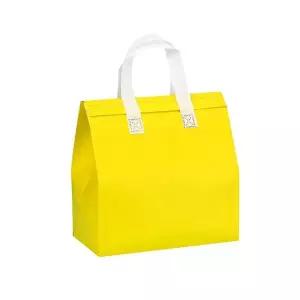 [콩심팥심]부직포 가방 보온 쿨러백 보냉 24x23.5x15 아이스백