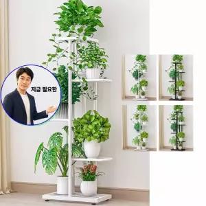 지금 필요한 야생화 꽃씨 200립 종자 야생화씨앗 국화과 씨앗 품종 제충국