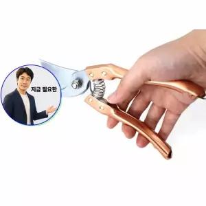 지금 필요한 원예 과수원 가위 화초 프리미어8 정원 조경 전가위