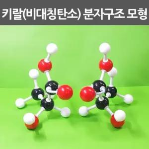 비대칭탄소 키랄 분자구조 모형 만들기 교구 A1418