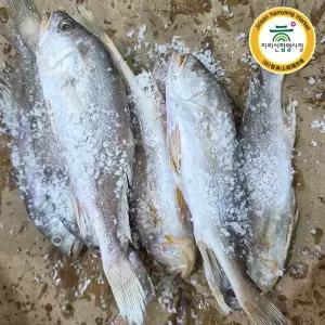 [함양시장]백전상회 침조기 5마리(25-27cm 내외)(긴가이석태)