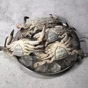 국내산 급냉 암꽃게 1kg
