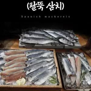 국내산 남해안 등푸른 삼치 팔뚝삼치 20필렛 손질생선