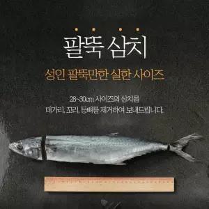 국내산 남해안 등푸른 삼치 팔뚝삼치 15필렛 손질생선
