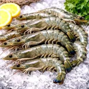급냉 자연산 대하 500g 3세트