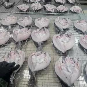 국내산 고소한 반건조 우럭 400-450g 내외 2미