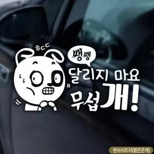 자동차스티커 차량스티커 차스 초보운전 반사 차량용 왕초보