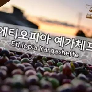 에티오피아 예가체프 200g 당일로스팅 원두 커피 분쇄