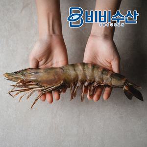 킹타이거새우 1미 28cm(180g~229g)킹블랙타이거