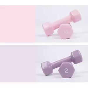 아이워너 뷰티 육각 덤벨 1.5kg 2kg/여성/트레이닝/홈트레이닝/헬스/홈트/가정용/중량/근력/운동/기구/컬러
