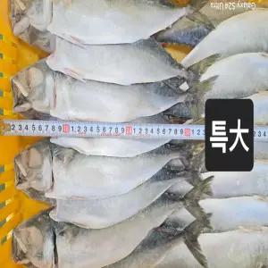 푸른바다 업소용 간고등어 특대 1손 750/850g  16손  [ 12/13kg]
