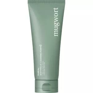 쿤달 사철쑥 아크네 클렌징 폼 140ml 1개