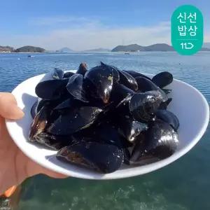 [품질보장] 이순신수산 육수좋은 마산 진동 여수 홍합 10kg