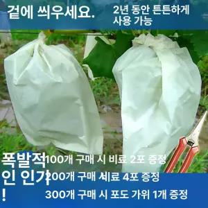 봉투 샤인머스캣 포도 방충 거봉 봉지 방지 조류 과수용