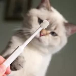 PET 강아지 고양이 칫솔 양치 입냄새 치석제거 원형 360도