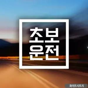 초보운전 스티커 자동차스티커 화이트 자석 안전운전 양보 차량용