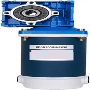 VMOQSUQDR 300W 웜 기어 감속 모터 12V24V 속도 조절 가능 대형 토크 전진 및 후진 RV30 고출력 5D300GN