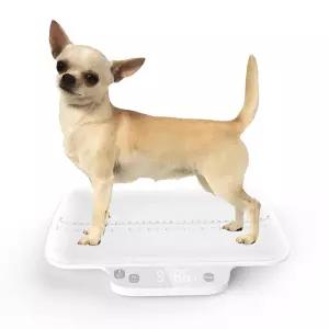 작은 개를 반려견 저울 보류 기능 고양이 정확도 g/0.035 5kg/33파운드 반려동물 적합합니다