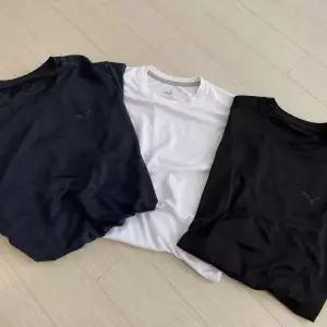 푸마 쿨 반팔 티셔츠 3매 세트 퀵드라이 데일리 아이템