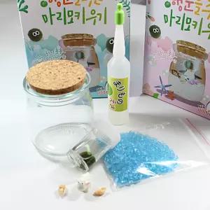 행운을 주는 마리모-랜덤발송 일본마리모 판촉물 키우기 마리모키우기 인테리어소품 단란트 