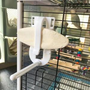 Budgie Cockatiel 과일 야채 애완동물 케이지 액세서리 조류 식품 홀더 오징어 뼈 클립 먹이 클램프 앵무새