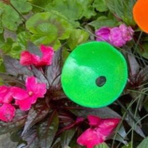 2CPS 6X30cm 꽃 디자인 야외용 새 모이통 물통앵무새 벌새 카카티엘 소형 동물용 정원용 물 액세서리
