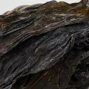 국내산 다시마 파지 1kg