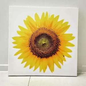 해바라기 그림 액자 해바라기 유화 액자 인테리어 풍수 집들이선물