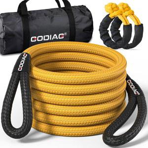 GODIAG 1