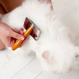 바비온 강아지 고양이 슬리커 브러쉬 빗 털 정리 관리 1개 MNS