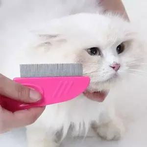 바비온 고양이 강아지 눈꼽 빗 브러쉬 위생 엉킨 털 정리 1개 MNS