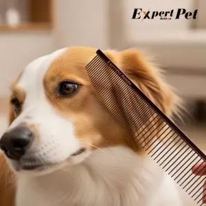 바비온 강아지 고양이 듀얼콤 미용빗 엑스퍼트펫 전문가용 커브프로콤 모음 택 1 다크커피(XL) BCM3386 DC MNS