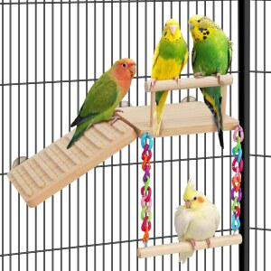 ZOOVIBE BIRD PERCHES 플랫폼 그네 등반 태평양 장난감 새 친칠라, 놀이 운동 체육관 잉꼬, 케이지 햄스터 사다리 스탠드용 앵무새, 액세서리