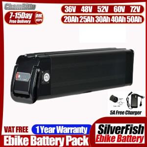 36V 48V 52V 60V 72V 20Ah 실버피쉬 리튬 배터리 전기자전거 500W 2000W