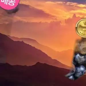 라비에 허브타임 차량용 자동차방향제 블루베리