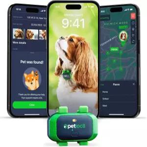 반려견용 펫록8 GPS 트래커 4G LTE 실시간 추적 및 지오펜스 알림 소형 중형 대형견용 방수장수 배터리