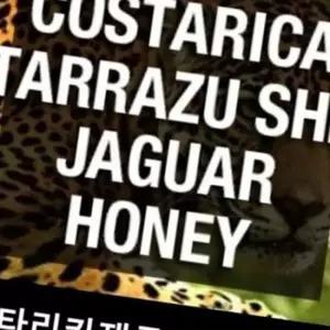 스페셜티 코스타리카 원두 커피 재규어 코스타리카 싱글 원두 홈카페 핸드