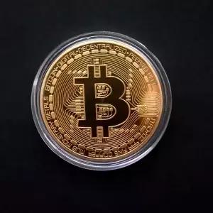 도금 기념품 아트 컬렉션 물리적 비트콘 코인 BTC 케이스 골동품 모조 금속 골드 기념