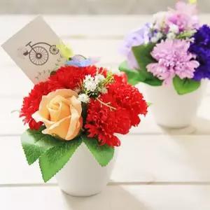버터플라이 비누꽃 카네이션 화분 어버이날 스승의날 부모님 선생님 감사 축하 선물 전용케이스